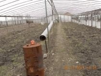 Выпечка в теплице