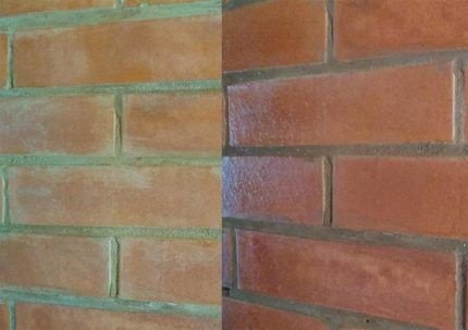 Духовка до и после обработки лаком