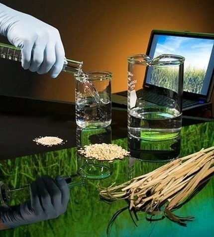 Безопасность биоэтанола
