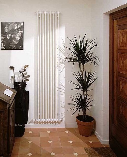 Вертикальный трубчатый радиатор
