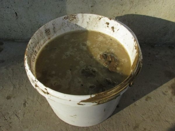 Процесс замачивания глины