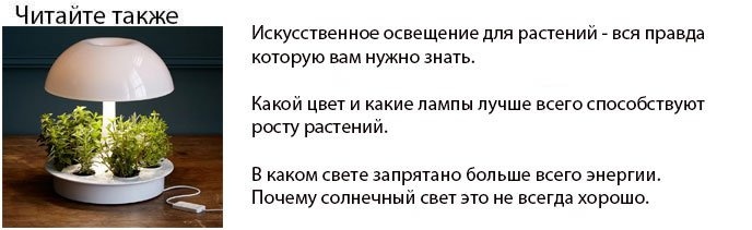 Освещение для комнатных растений