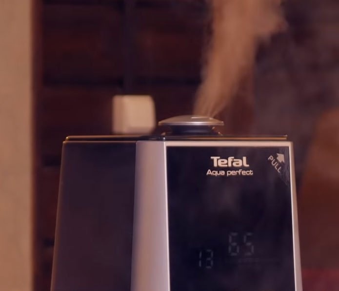 Tefal aqua perfect. Увлажнитель воздуха Tefal. Чем отличается увлажнитель с паром и без.