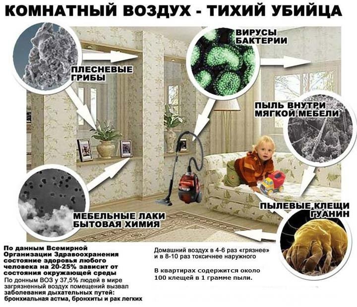 Влияние сухого воздуха в помещении